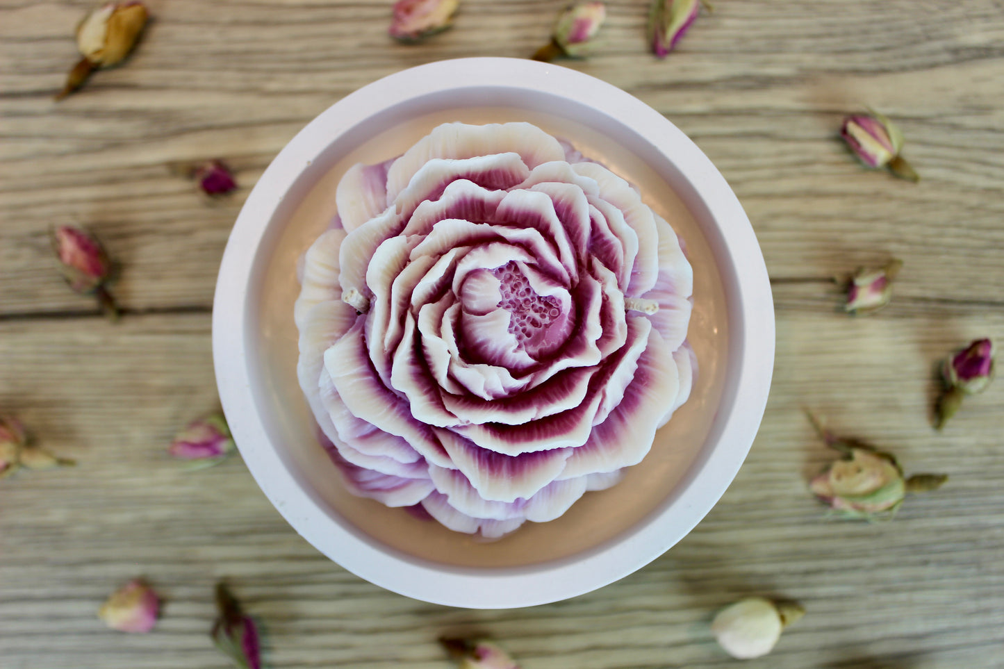 Peony - violet