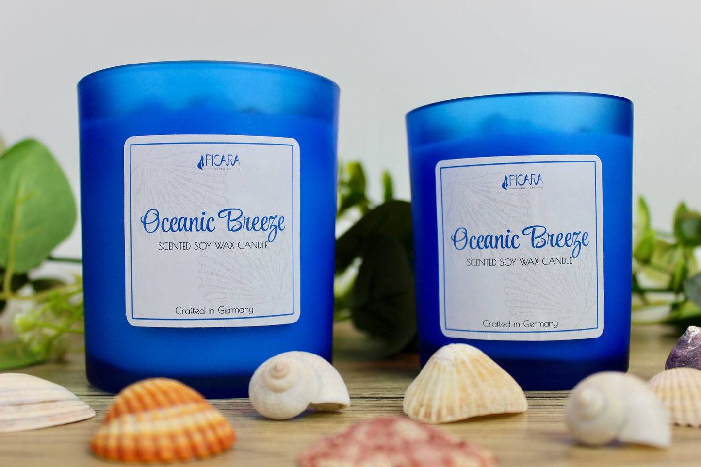 Oceanic Breeze