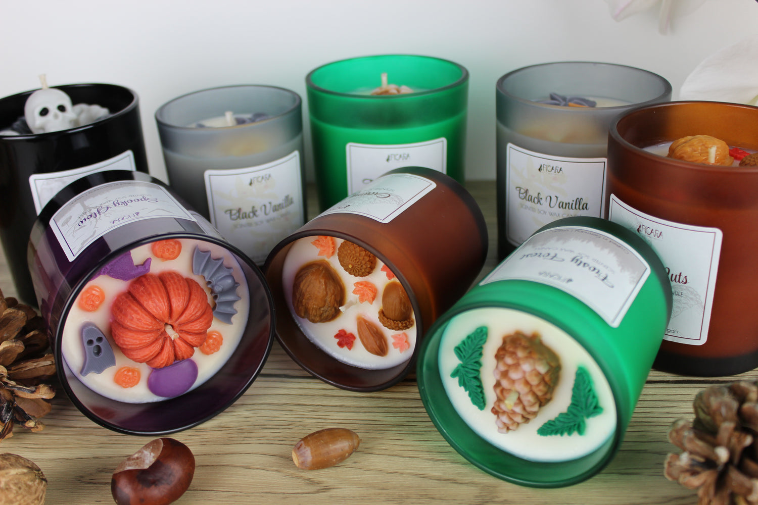 Autumn & Winter vibes