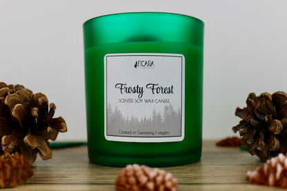 Frosty Forest