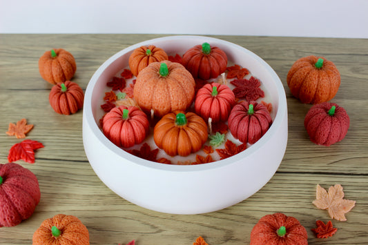 Pumpkin Bliss - groß