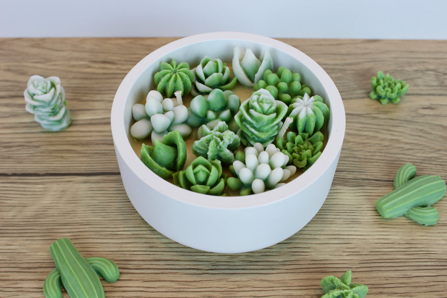 Cactus Garden