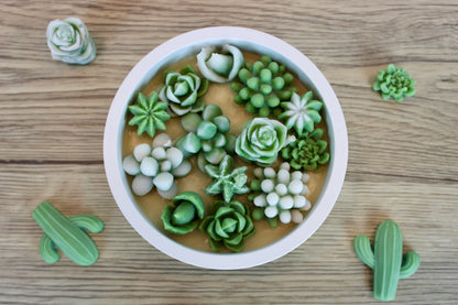Cactus Garden