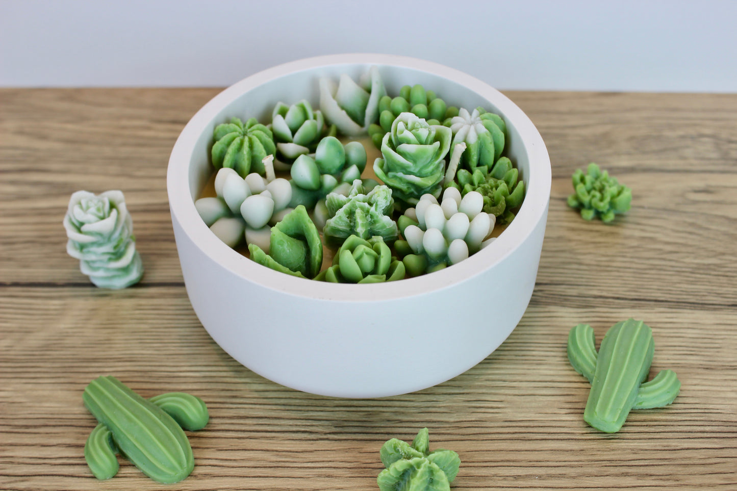 Cactus Garden