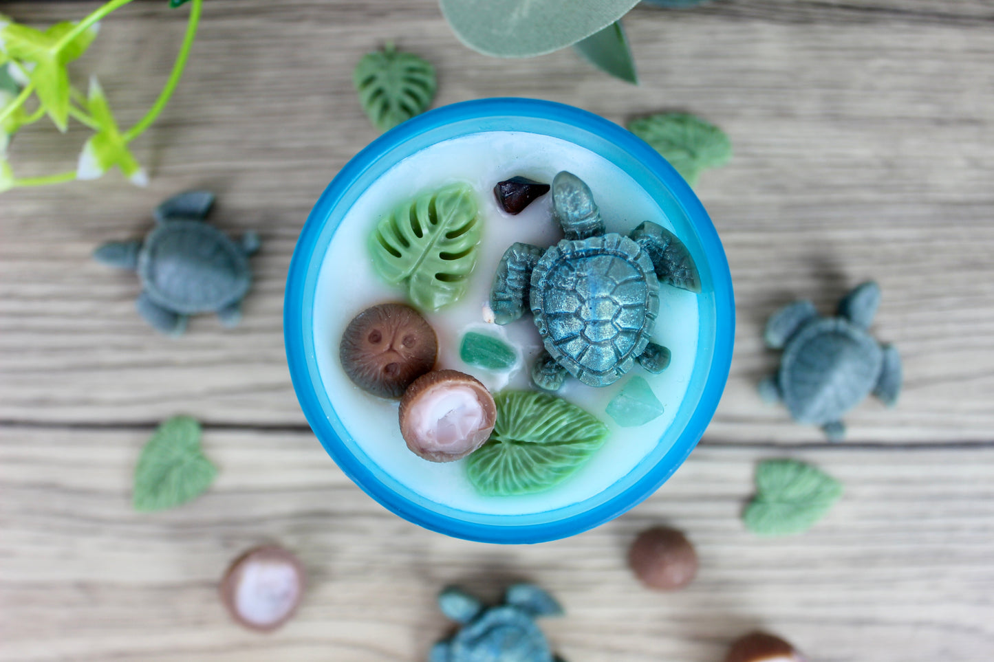 Tropical Coco